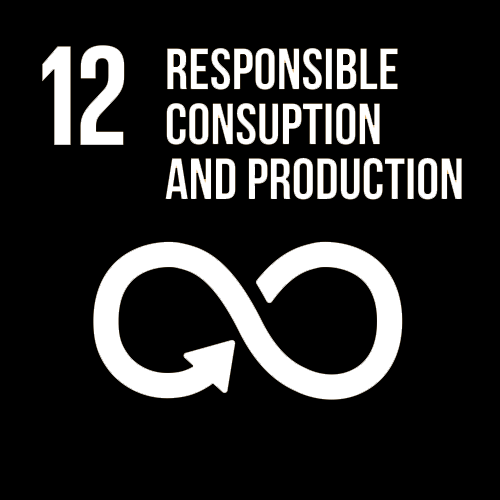 12. Responsible consuption and production