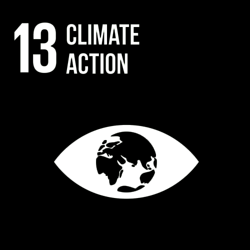 13. Climate action