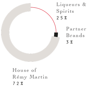 Liqueurs & Spirits : 25%,   Partner Brands : 3%,   House of Rémy Martin : 72%