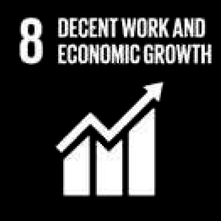 8. Decent work and economic growth