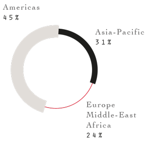 Americas : 45%,   Asia-Pacific : 31%,   Europe Middle-East Africa : 24% 