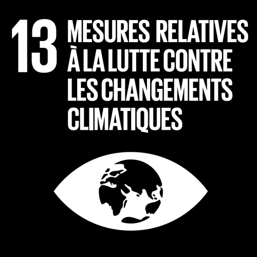 13. Mesures relatives à la lutte contre les changements climatique