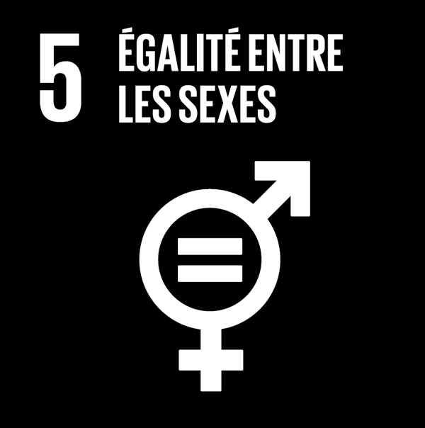 5. égalité entre les sexes
